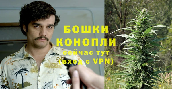 соль ск Краснослободск