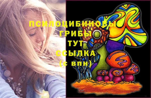 первитин Коряжма